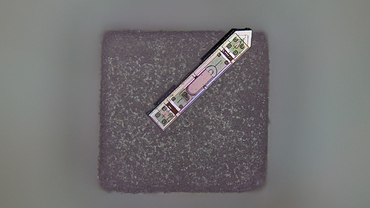 Imagem ilustrativa de um implante cerebral wireless minúsculo, menor que um grão de sal, utilizado em pesquisa científica.